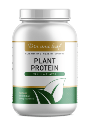 Plant Protein Vanilla
